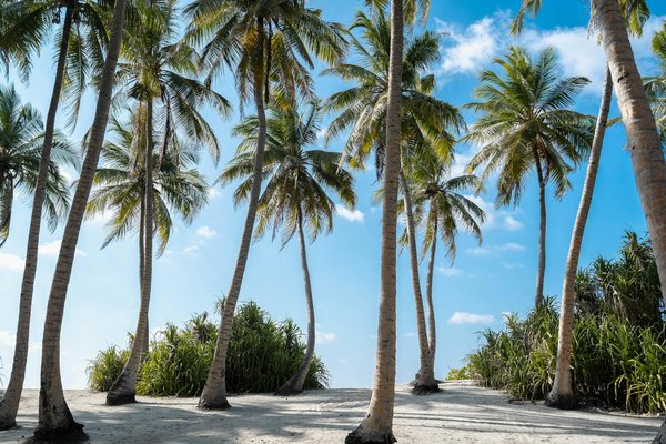 Quelles croisières permettent de participer à des ateliers de tissage en laine en Patagonie?